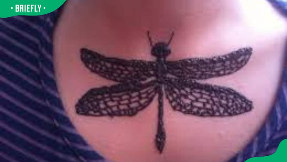 Henna-inspired patterns dragonfly