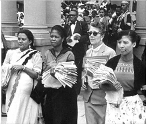 Women S Day South Africa 2020 History Why It S Celebrated Differently