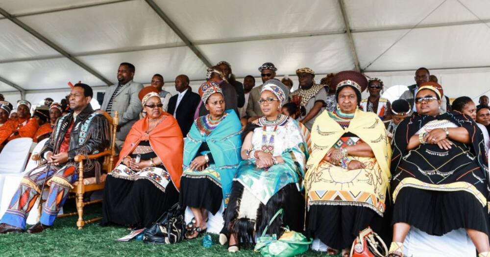 King Goodwill Zwelithini, Zulu king, Zulu queens, Sihle Zikalala, KZN, Kwa-Zulu Natal provincial government, South Africa, corruption