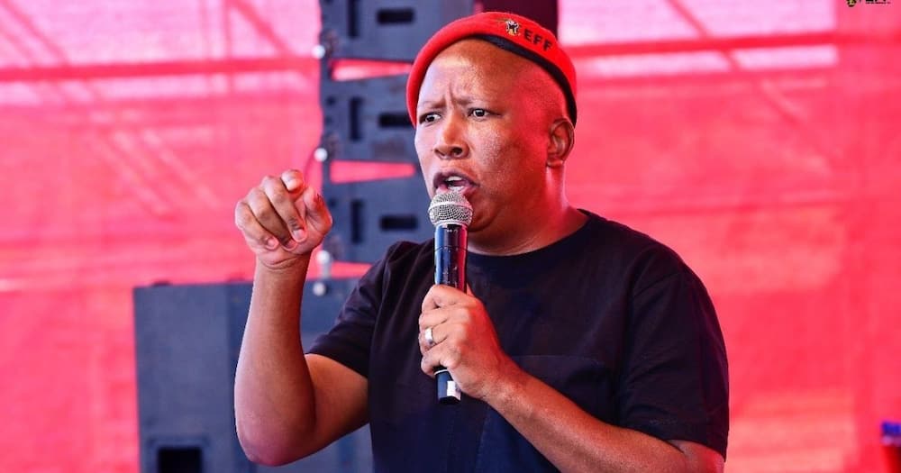 EFF, labour union, Workers day rally, Julius Malema, Middleburg