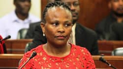 Suspended Public Protector Busisiwe Mkhwebane subjected to another legal blow, SA smells something fishy