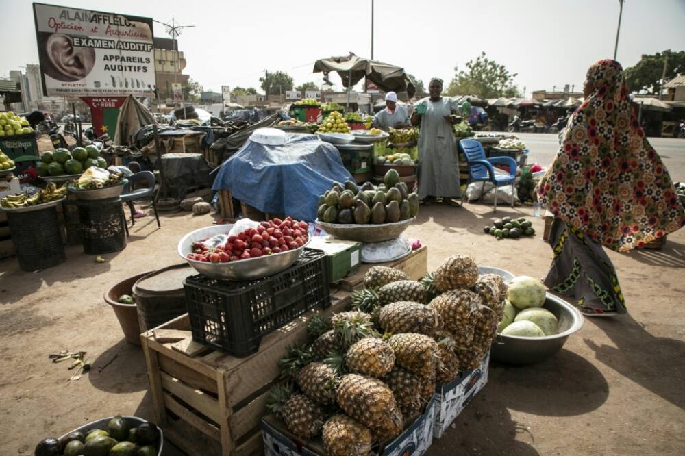 Strawberries have been grown in Burkina since the 70s, says market gardener Madi Compaore