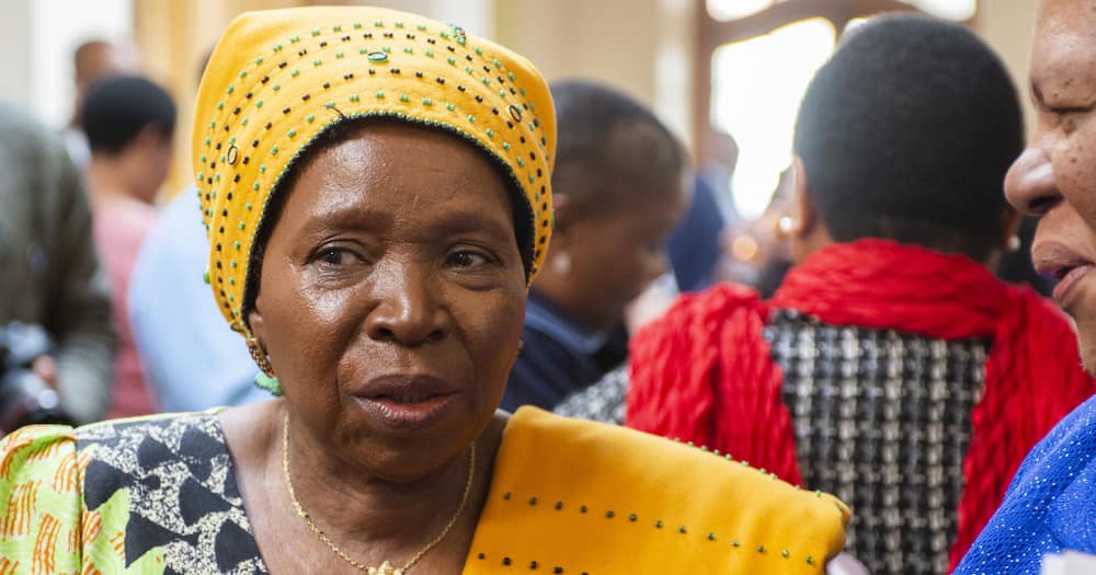 Nkosazana Dlamini Zuma's contempt court ruling to take place Friday