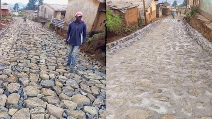 Residents build a whole road, Mzansi calls on Government to shake a leg