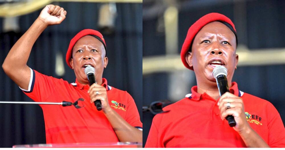 Malema divides South Africa: Demands apology for ‘previous racial injustices’