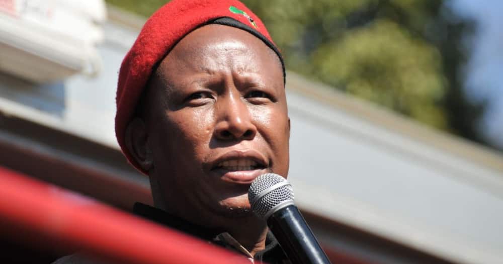 EFF, Leader, Julius Malema, Defeat, Local government elections, Charismatic, Politician, Party, Coalition, ANC, National vote, Parliament, Expropriation of land