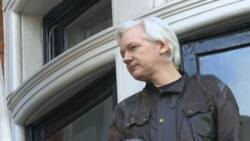 WikiLeaks co-founder Julian Assange sentenced to 50 weeks in prison