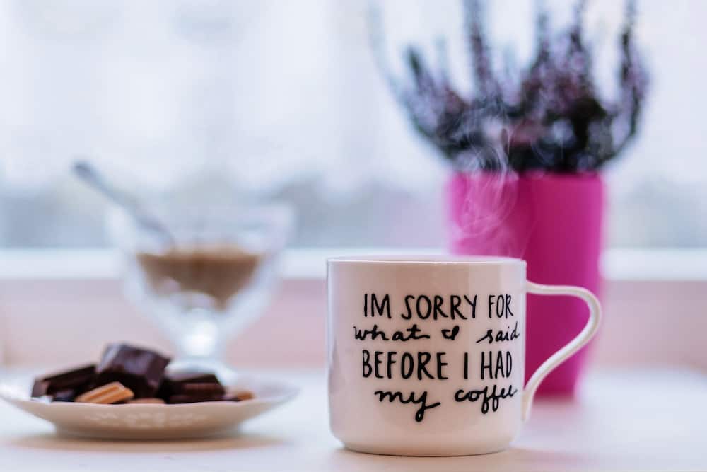 40 melting I am sorry quotes with images 2019