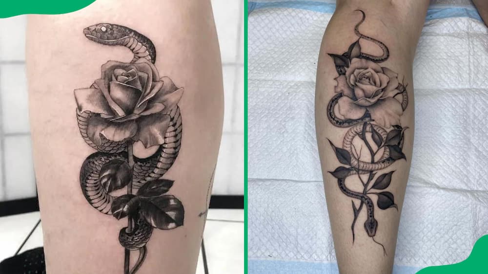 Snake and rose tattoo