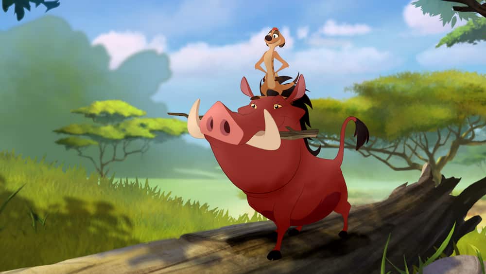 Pumbaa and Timon from Disney's The Lion King