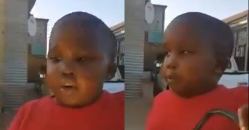 Kid Gives Mzansi the Feels After Sharing Opinion About His Absent Dad