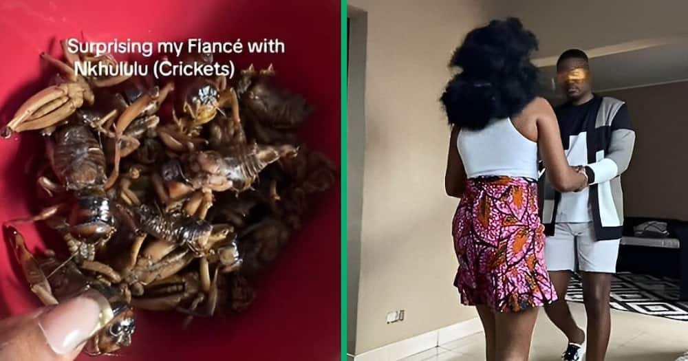 TikTok video shows woman preparing crickets for partner