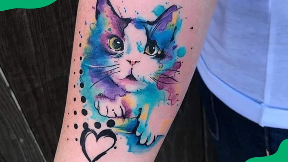 The watercolour cat tattoo