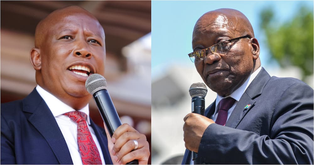 Julius Malema asks Jacob Zuma to meet for tea, Mzansi internet users go wild