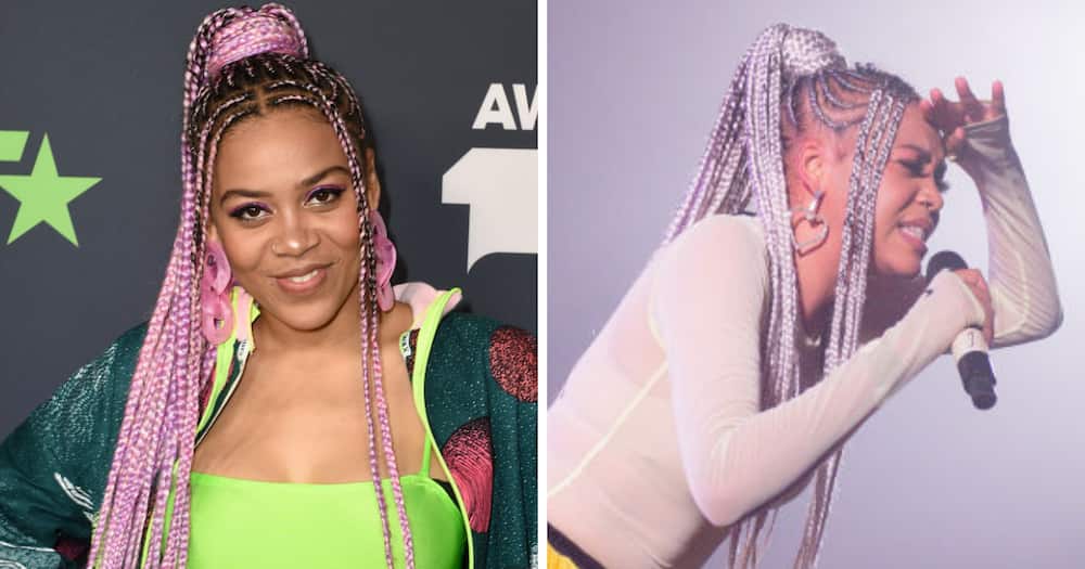 Sho Madjozi, Disappeared, Music, Tsonga, Performer, Twitter, Fans, Questions, Hilarious