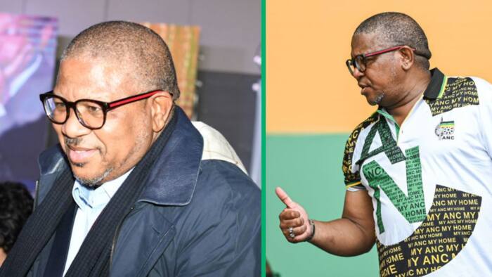 South Africans defend African National Congress Fikile Mbalula from attacks after video went viral