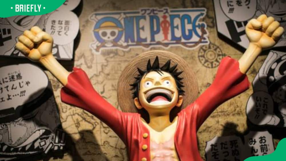 One Piece anime character Monkey D. Luffy