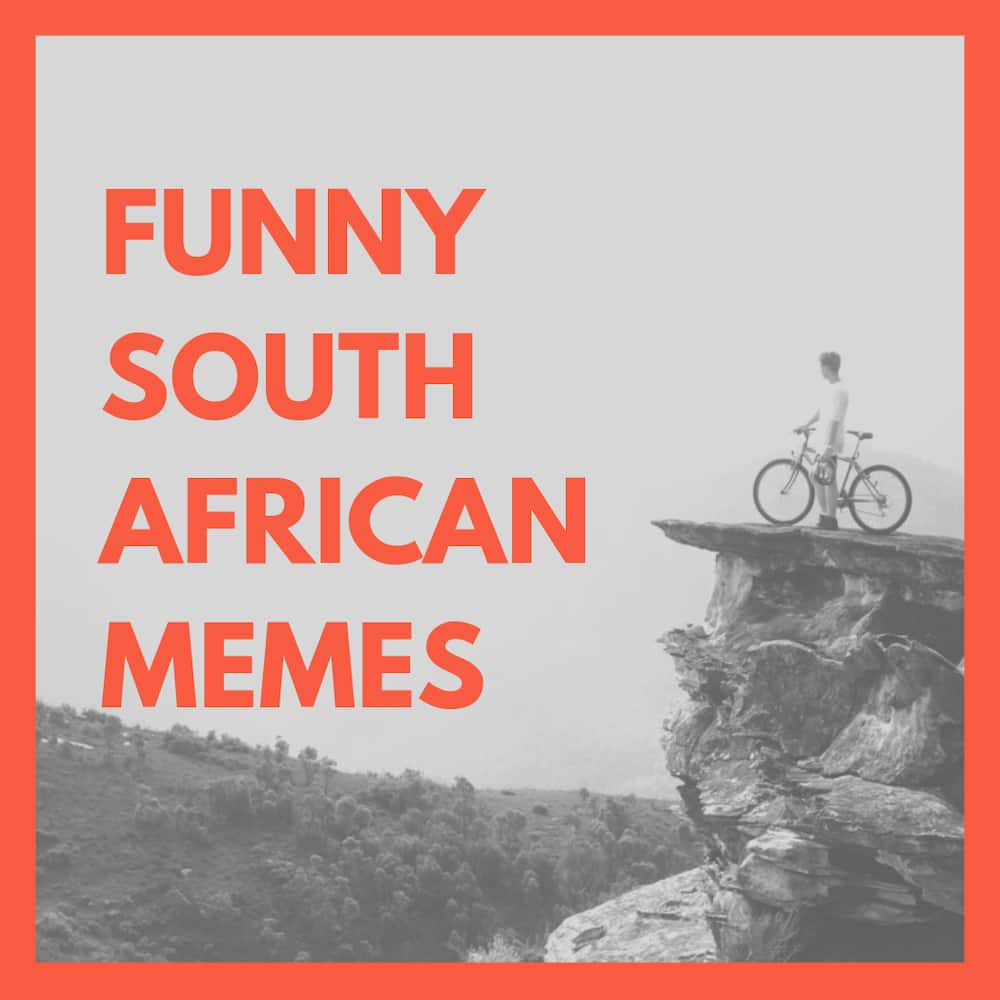 South African memes