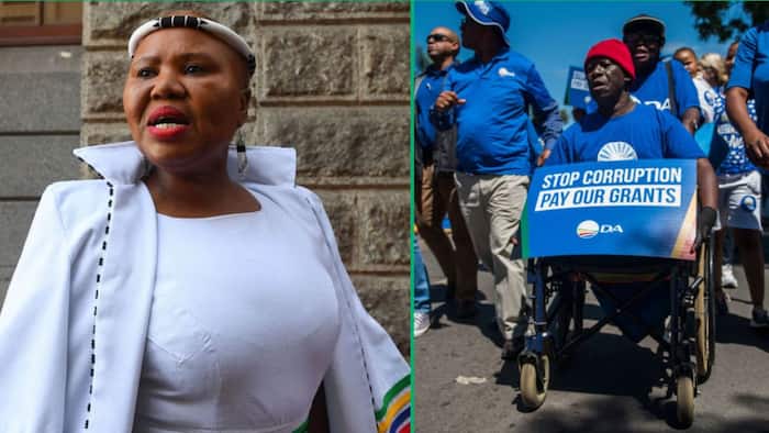 DA to lodge complaint against Social Development Minister Lindiwe Zulu over Sassa payment scandal