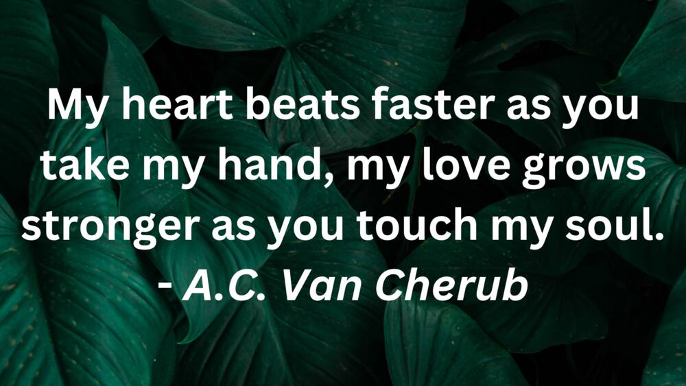 50+ True Love Quotes that will Touch Your Soul