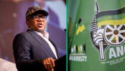 Fikile Mbalula says the ANC failed to reach all of its targets, South Africans agree