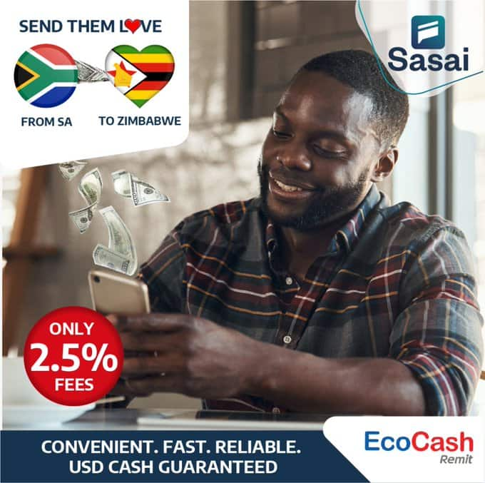 EcoCash charges