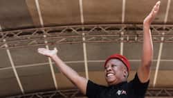 EFF Siyabonga Rally: Malema says that the party will support anyone who opposes the ANC, voted DA to spite ruling party