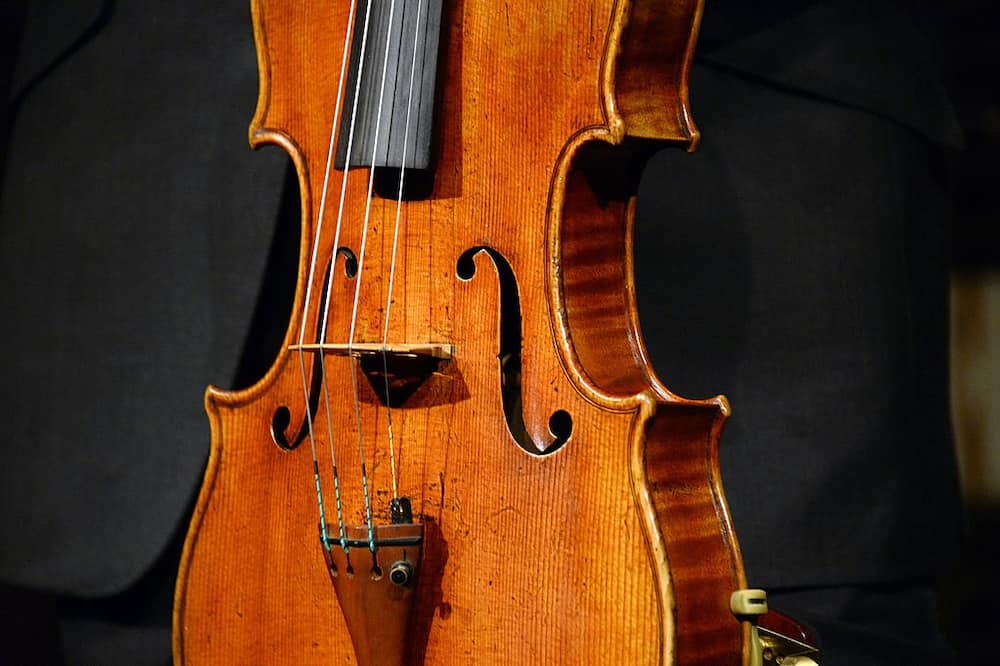 The most expensive viola