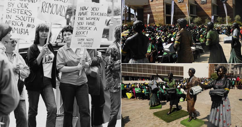 Helen Joseph, Ray Alexander Simons, Lilian Ngoyi, Amina Cachalia, History, Women, Protest, Pass laws, Apartheid, Union Building, Pretoria, South Africa