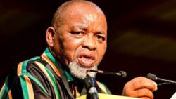 Gwede Mantashe says he's open-minded about the country's energy issues, SA reacts: "Certainly not a thinker"