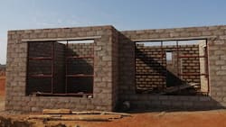 Woman, 26, admired by South Africans for building own home at young age: "Highly commendable"