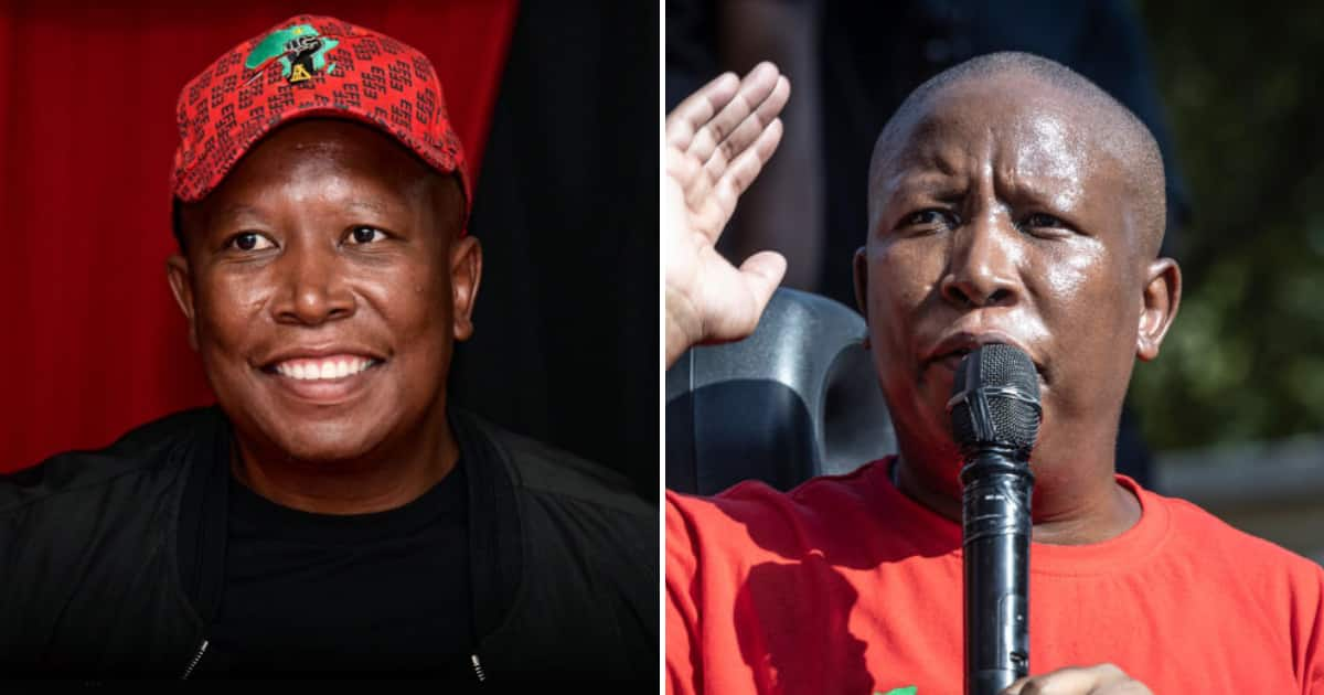 Julius Malema Doubles Down On Grid Collapse Prediction, Pro-Russia ...