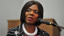 "The damage is done": Thuli Madonsela regrets her Legal Aid comments in relation to Zandile Mafe