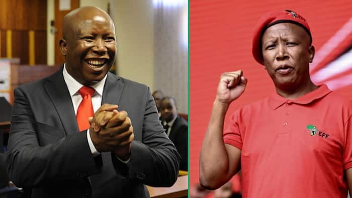 Inside EFF leader Julius Malema's luxurious lifestyle, from his lux mansions to expensive cars