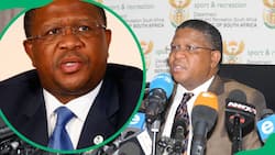 Fikile Mbalula's salary: A look at the politician's earnings