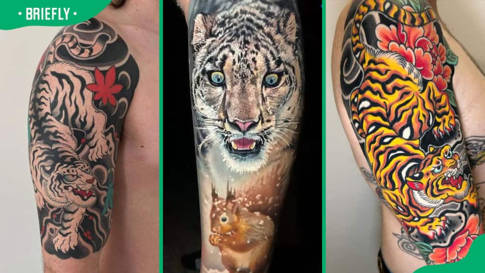 Japanese tiger tattoo designs and their meaning