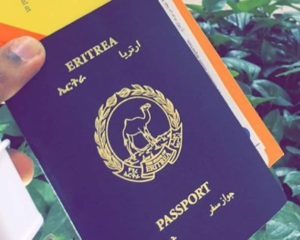 These are the seven most worthless African passports to hold in 2021