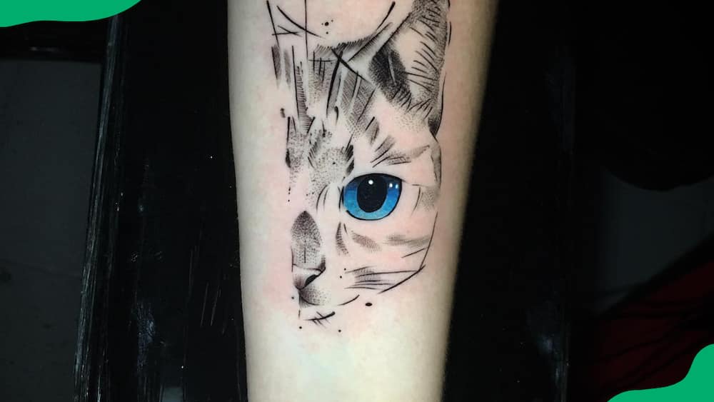 Blue-eyed cat tattoo