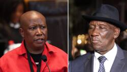 Julius Malema makes wild accusations, says Bheki Cele planned to kill EFF SG Marshall Dlamini