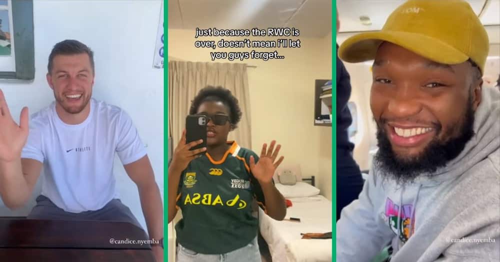 Springbok fan gets shoutout