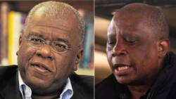 Herman Mashaba and Jonathan Jansen go head to head in heated argument about foreigners in education
