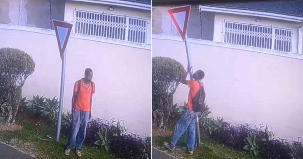 Man stealing SA road sign