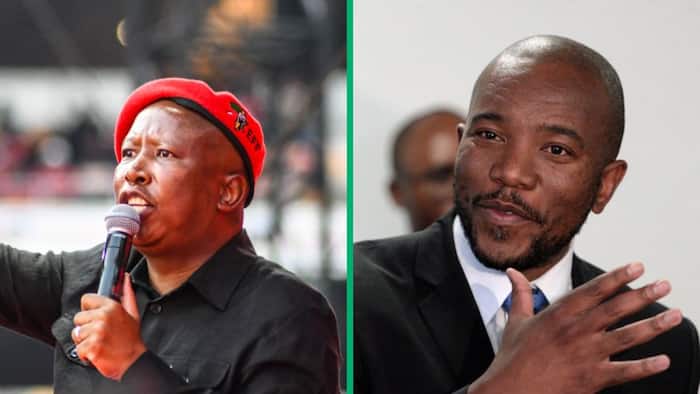 Mmusi Maimane and SA roast Julius Malema for swearing at netizen who called the EFF a 10% party