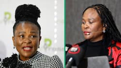 Section 194 committee recommends Busisiwe Mkhwebane’s removal from office, Mzansi not shocked by findings