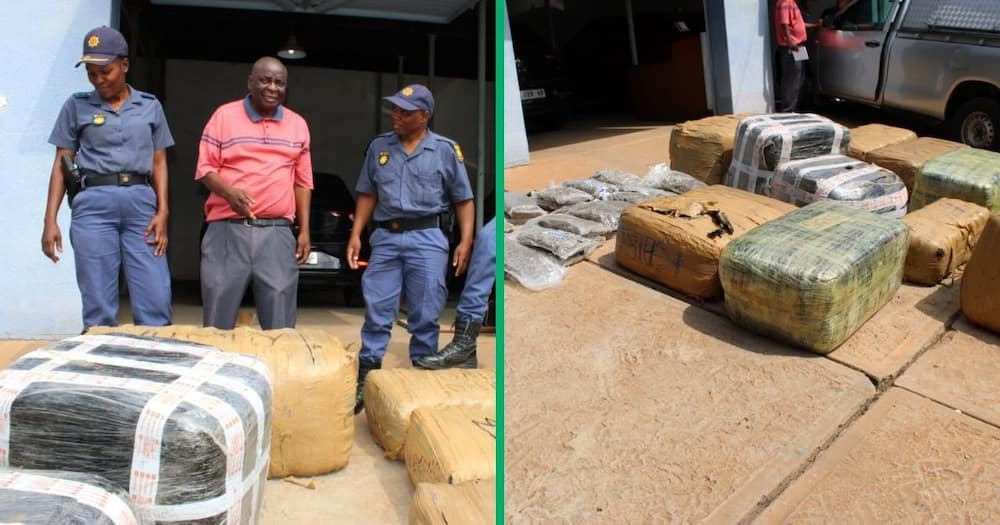 Limpopo police confiscated R3 million worth of dagga.
