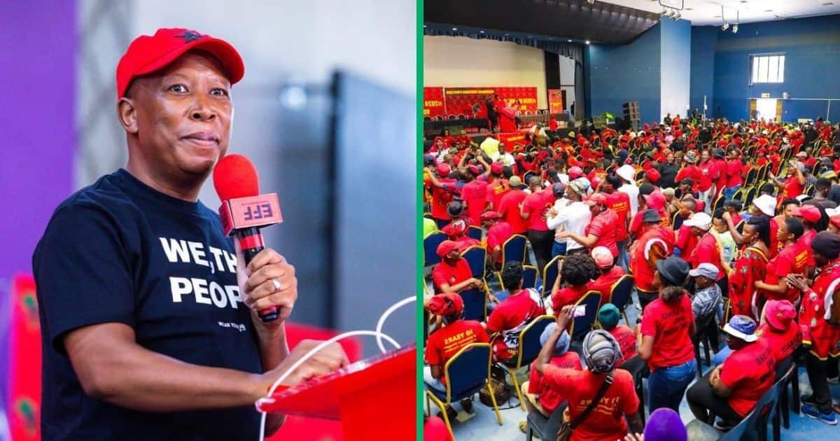 Julius Malema Calls For Clean Election Campaign Urges Eff Members To Avoid Violence Sa