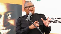 Video of Fikile Mbalula rudely grabbing microphone from woman singing the national anthem leaves SA stunned