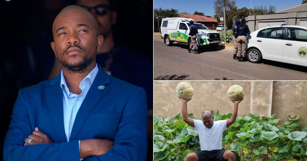 Mmusi Maimane , Djo BaNkuna, Police, Calls out, Bullying, Planting Vegetables, Sidewalk, Twitter reactions