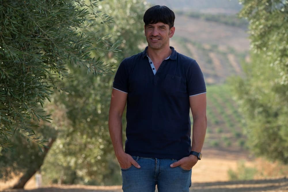 Expert Juan Carlos Hervas said olive trees stop bearing fruit when droughts become extreme