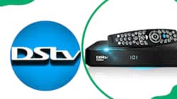 How to resolve the DStv remote not working issue (with infographics)